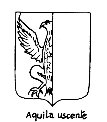 Image of the heraldic term: Aquila uscente